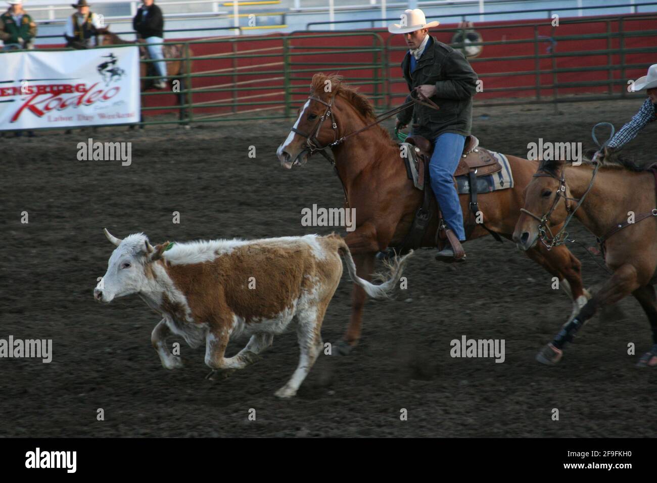 Cwu Rodeo Western washington state university hi-res stock photography and images ...