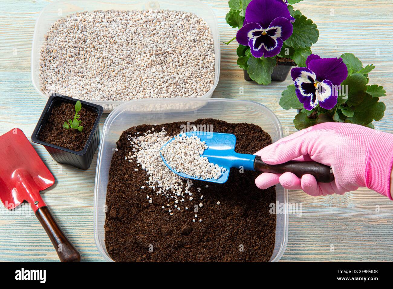 Mixing perlite granules pellets with black gardening soil improves water retention, airflow, aeration, root growth capacity of all the plants growing. Stock Photo