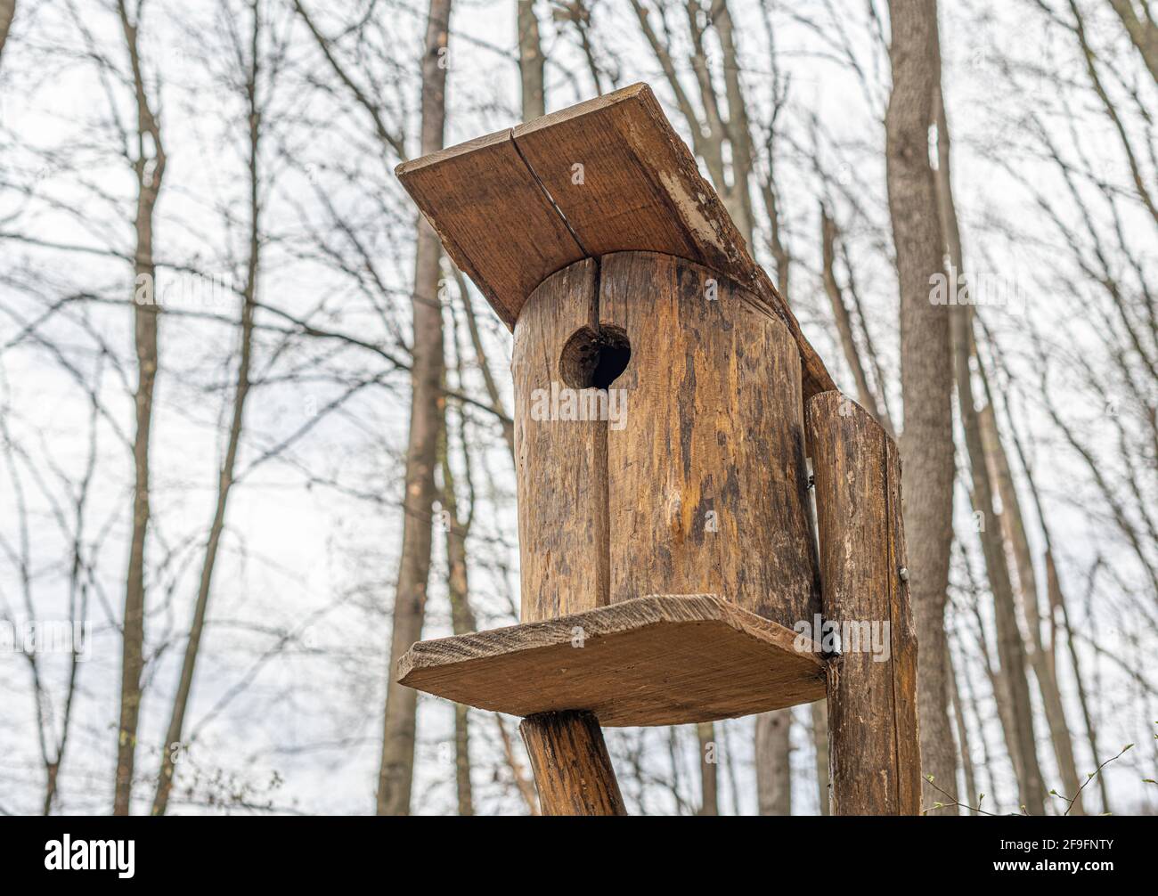 Birdhouse for birds in the forest Stock Photo Alamy