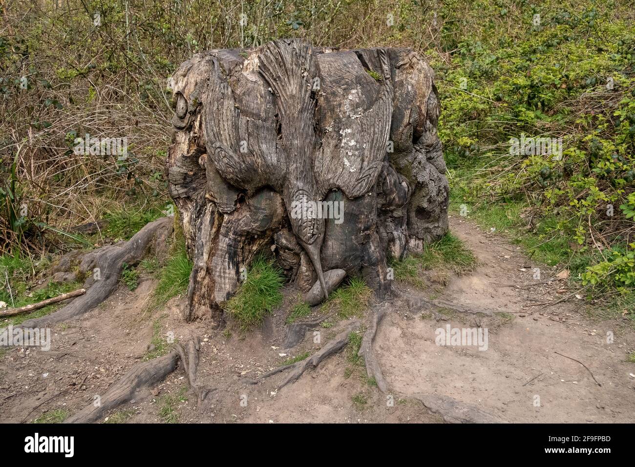 Intricate Wood Carving High Resolution Stock Photography and Images - Alamy