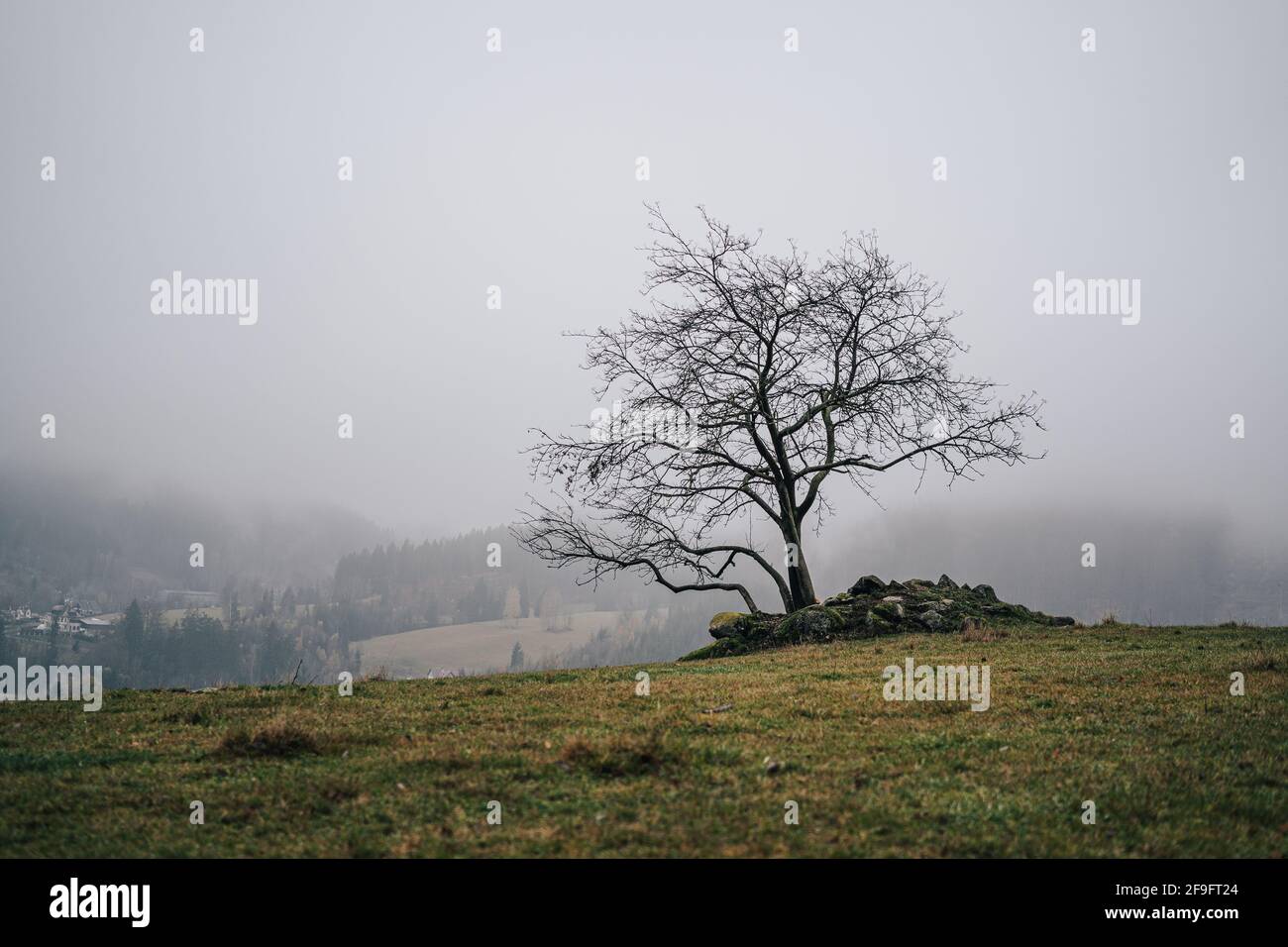 Stand alone view hi-res stock photography and images - Alamy