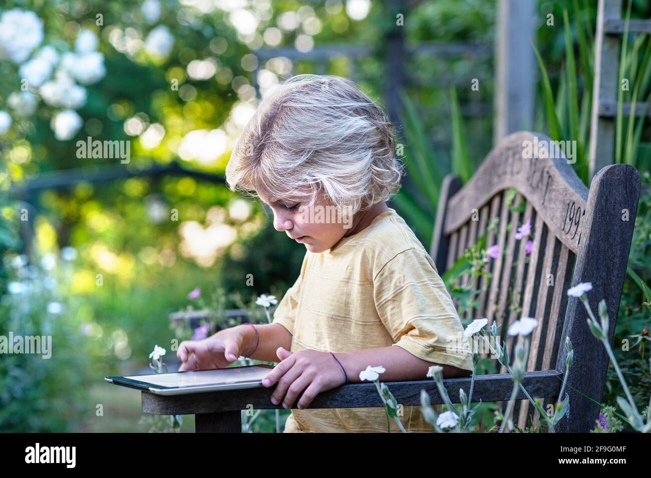 Childhood environment outdoors Infant blond boy 4-6 years outdoors concentrating with his smart tablet iPad computer in sunlit secure floral garden Stock Photo