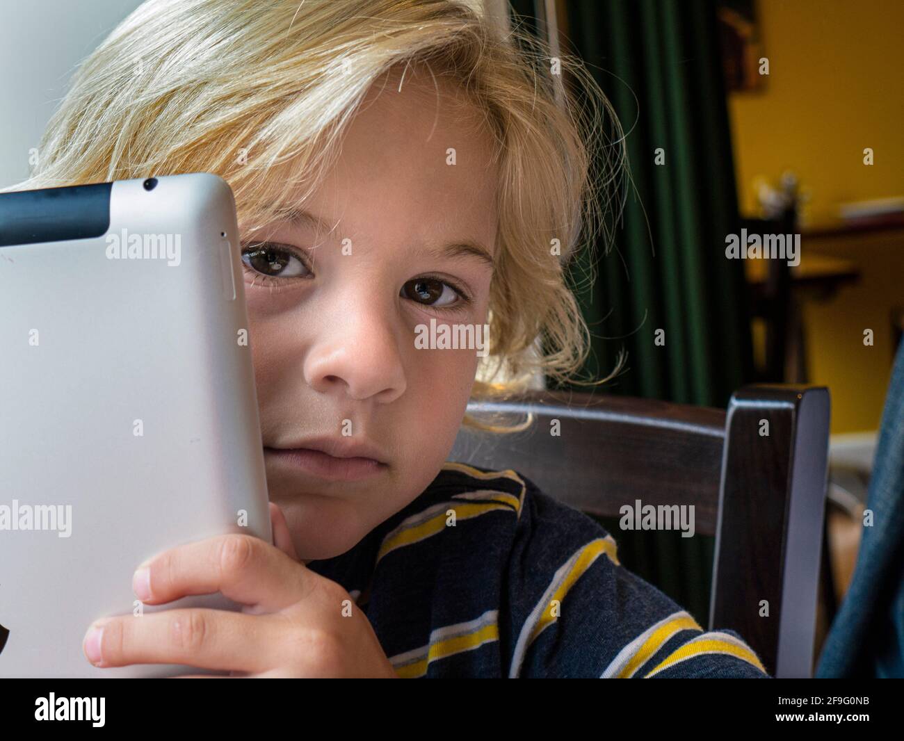 Infant blond boy 4-6 years peers innocently round his smart tablet iPad computer in home/school indoor learning situation Stock Photo
