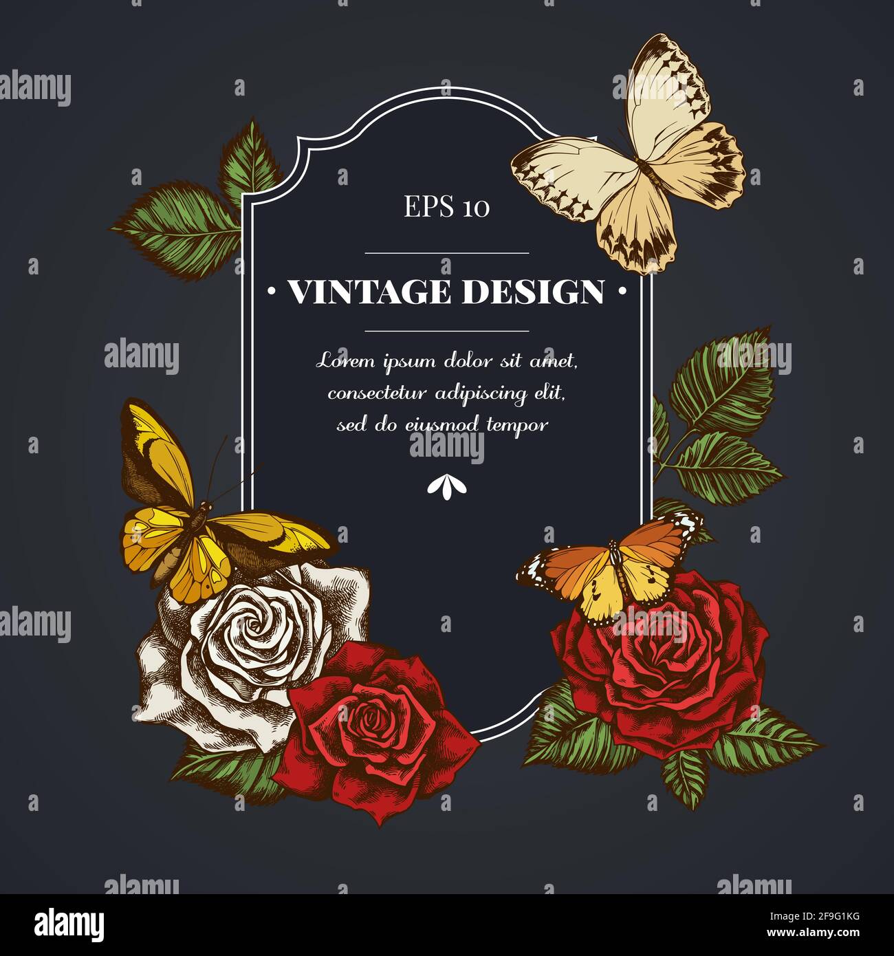 Dark badge design with wallace s golden birdwing, jungle queens, plain tiger, roses Stock Vector