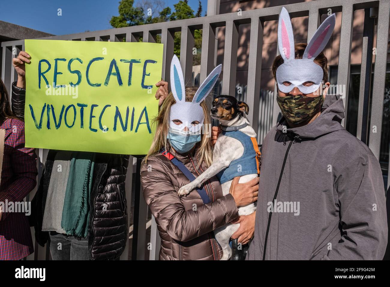 Madrid Rabbit Laboratory rabbit spain hi-res stock photography and images - Alamy