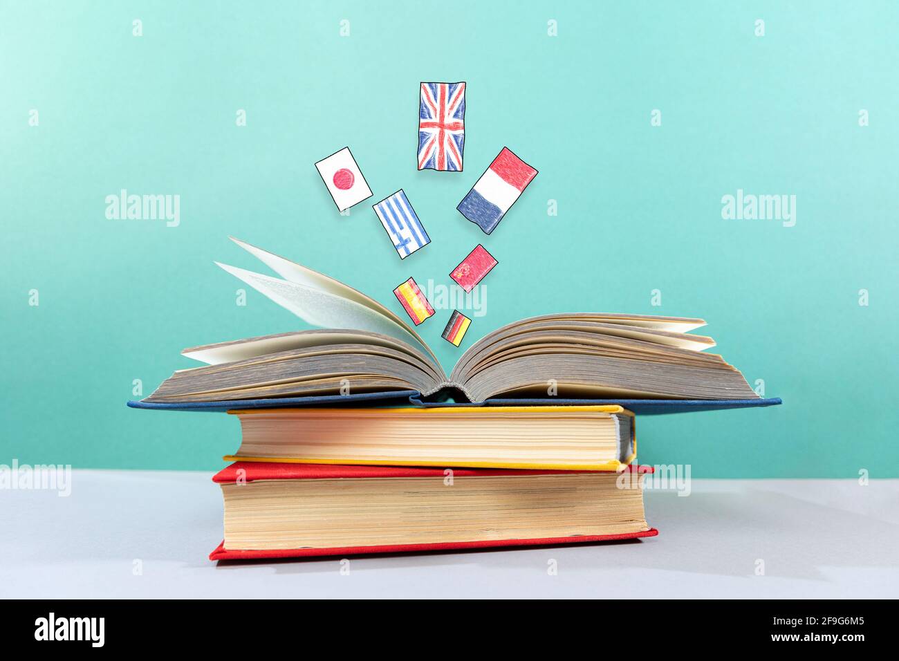 What is the word for a board book? - Japanese Language Stack Exchange