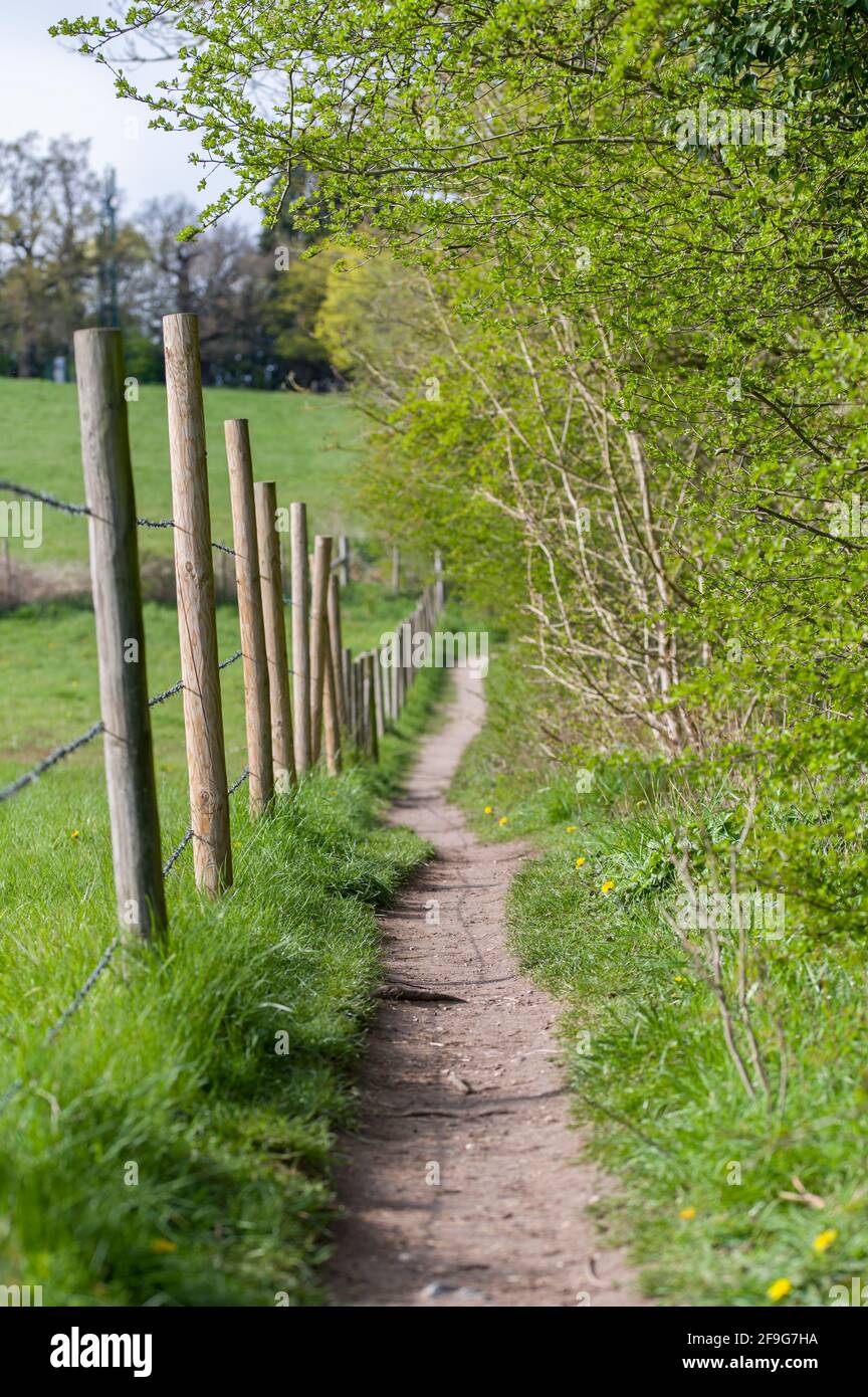 England environment hi-res stock photography and images - Alamy