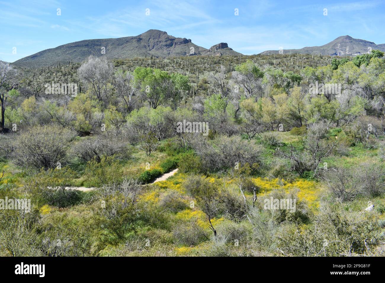 Sanoran Desert Rocks Horizontal sonoran desert hi-res stock photography and images - Alamy