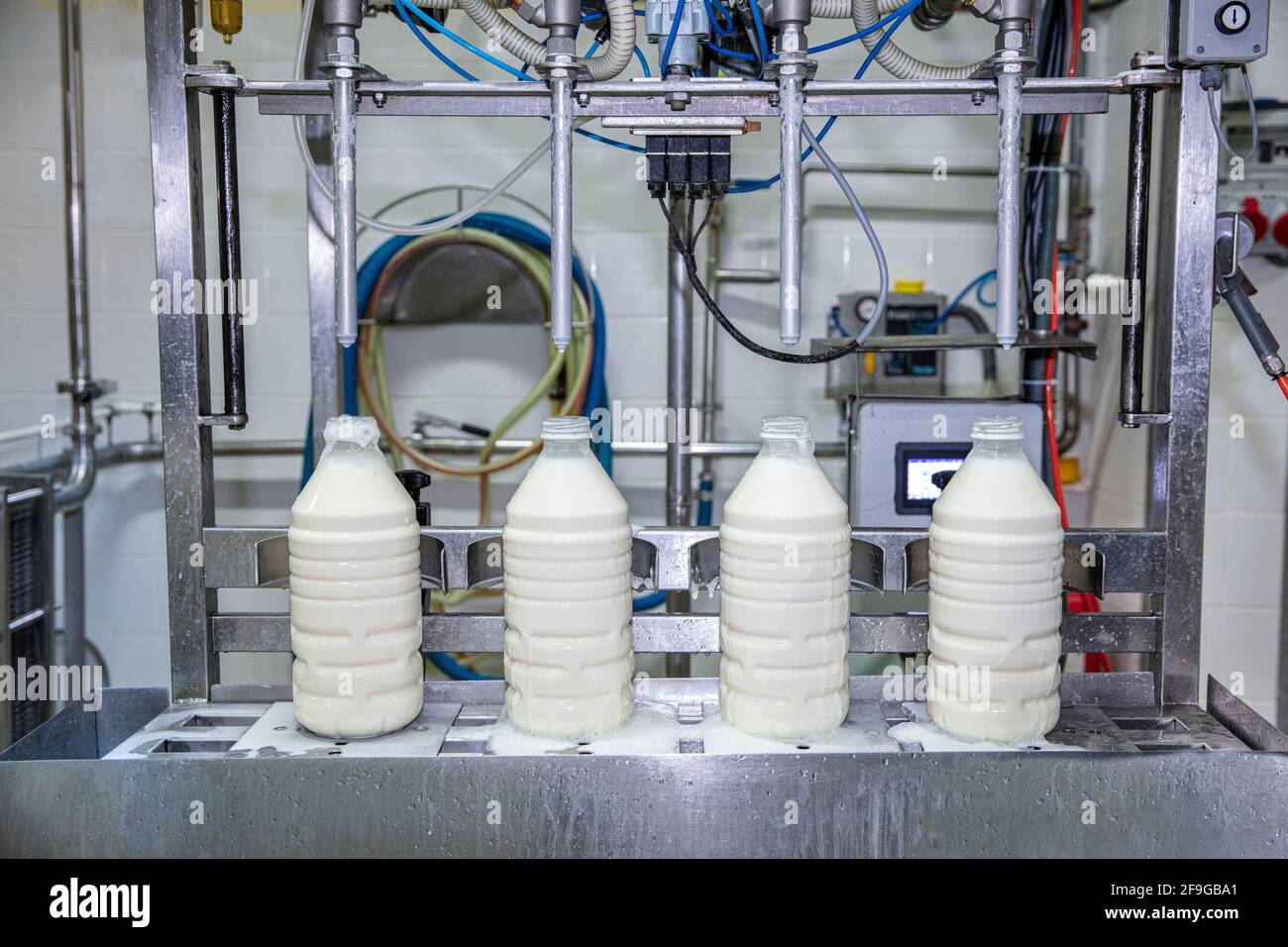 Filling milk into plastic bottles at the factory. equipment in dairy