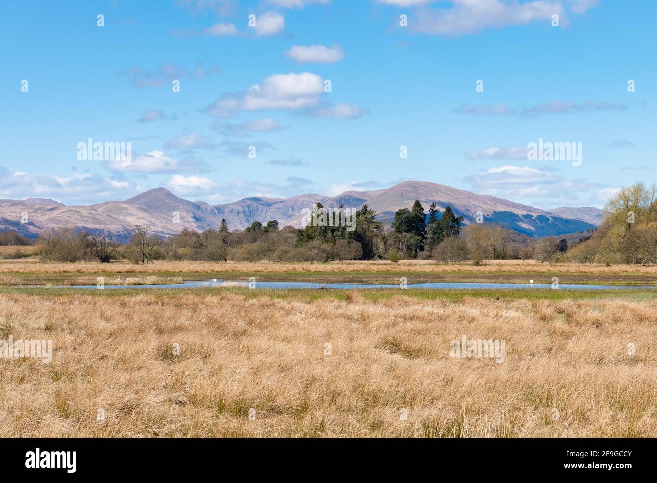 Wards Pond, part of Loch Lomond National Nature Reserve, with the Luss Hills behind, Gartocharn, West Dunbartonshire, Scotland, UK Stock Photo