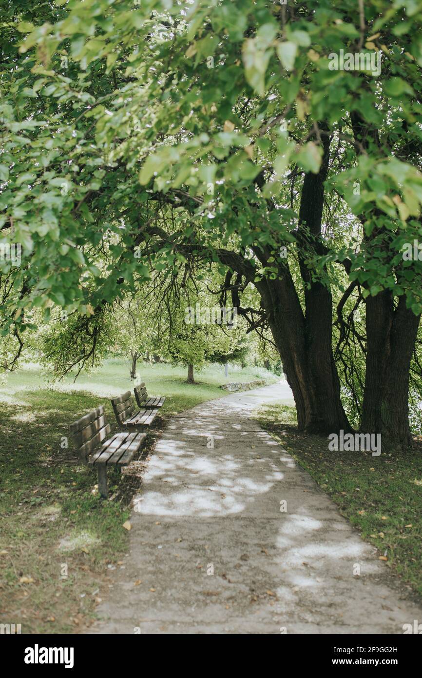 A vertical shot of a walkway, wooden bench, and trees in a park Stock ...