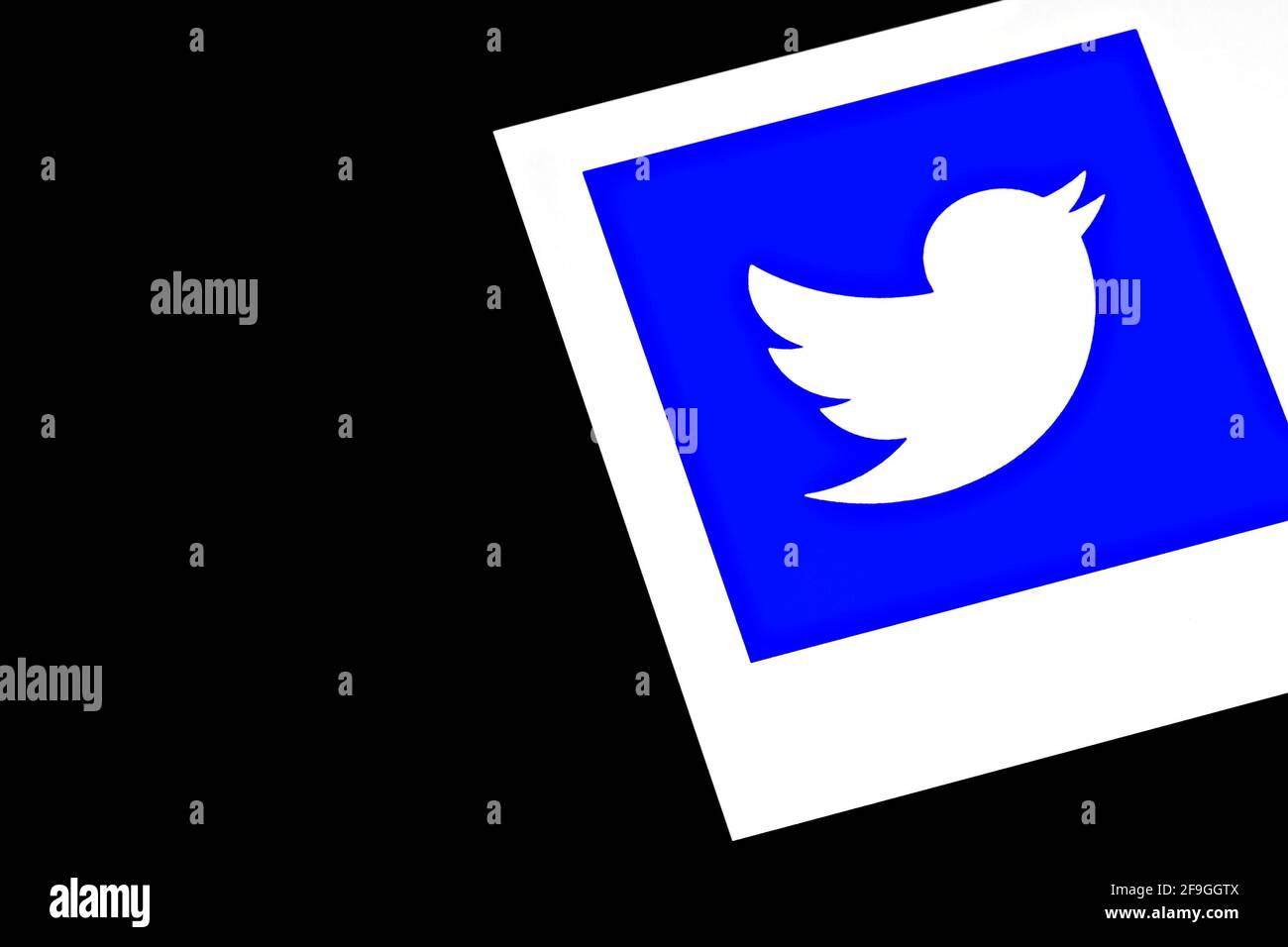 Editorial photo on Twitter theme.  Illustrative photo for news about Twitter - microblogging and social networking service Stock Photo