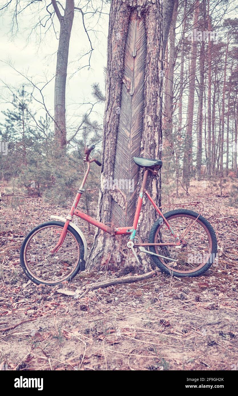 Old broken bike in a forest, color toned picture. Stock Photo