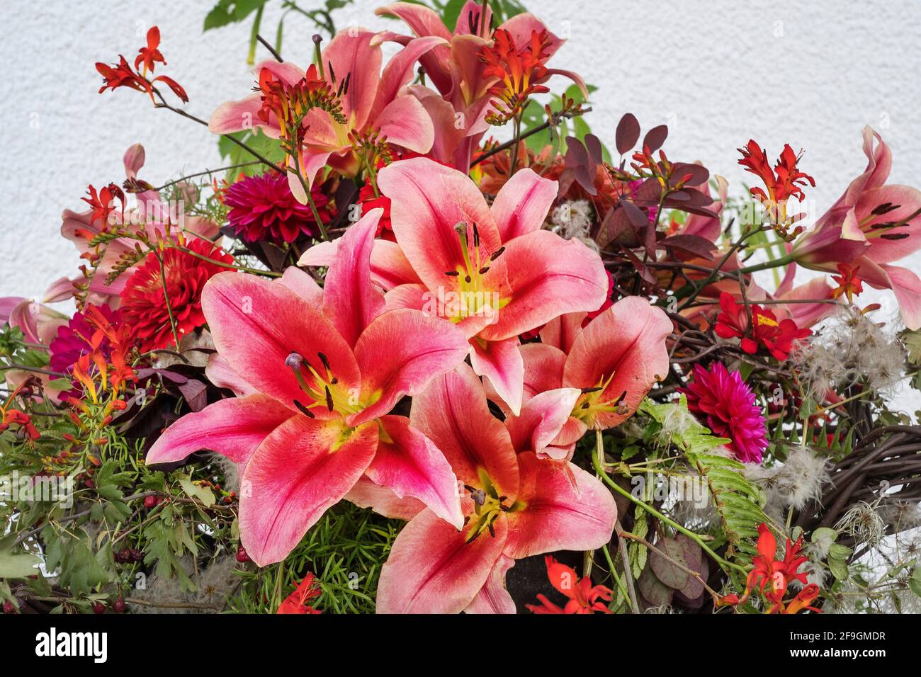 Flower arrangement with knight stars (Hippeastrum), Munich, Upper ...