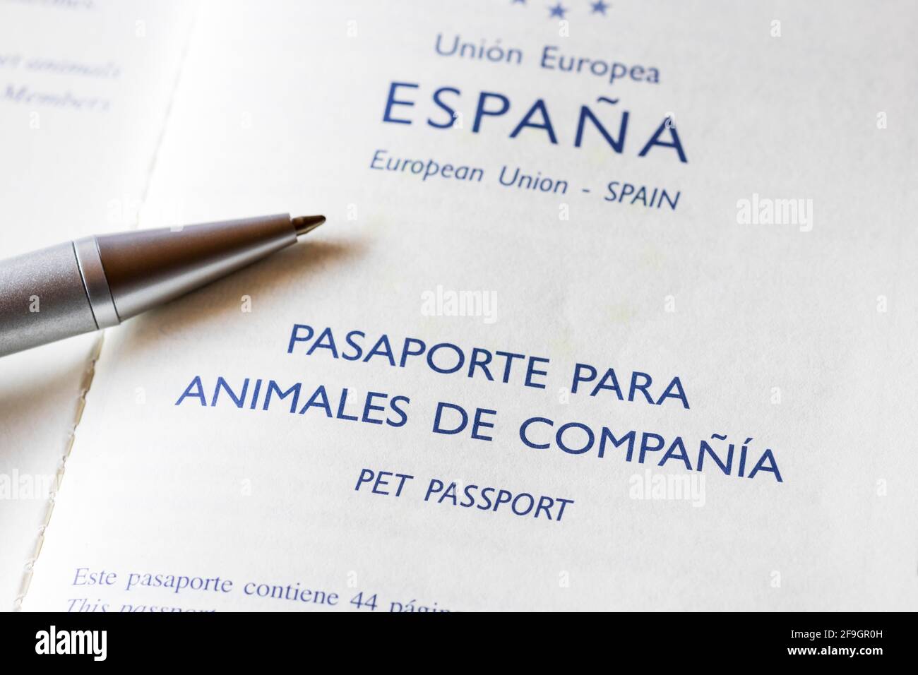Spanish pet passport for small dog, passport Stock Photo