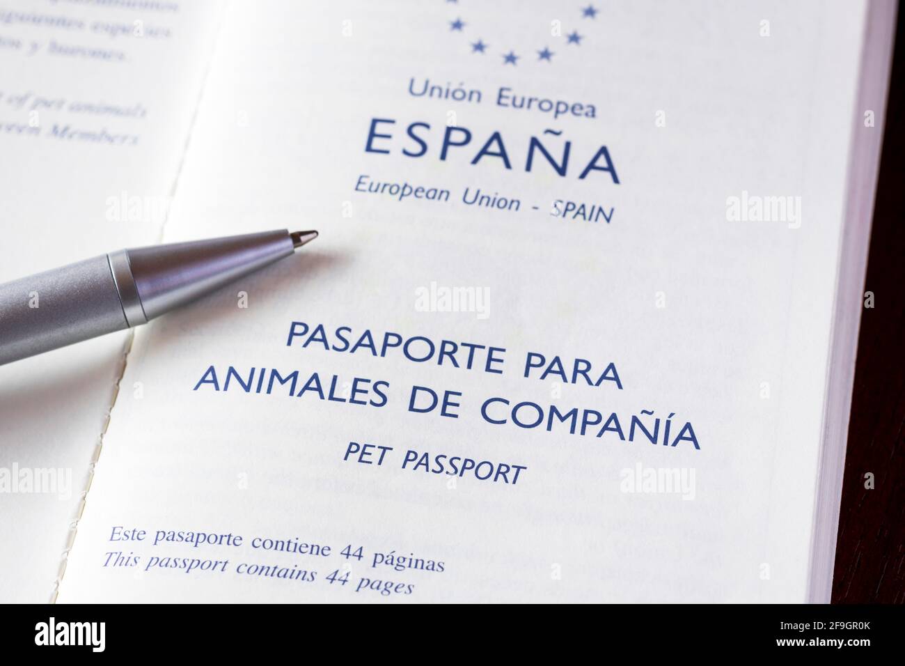 Spanish pet passport for small dog, passport Stock Photo Alamy