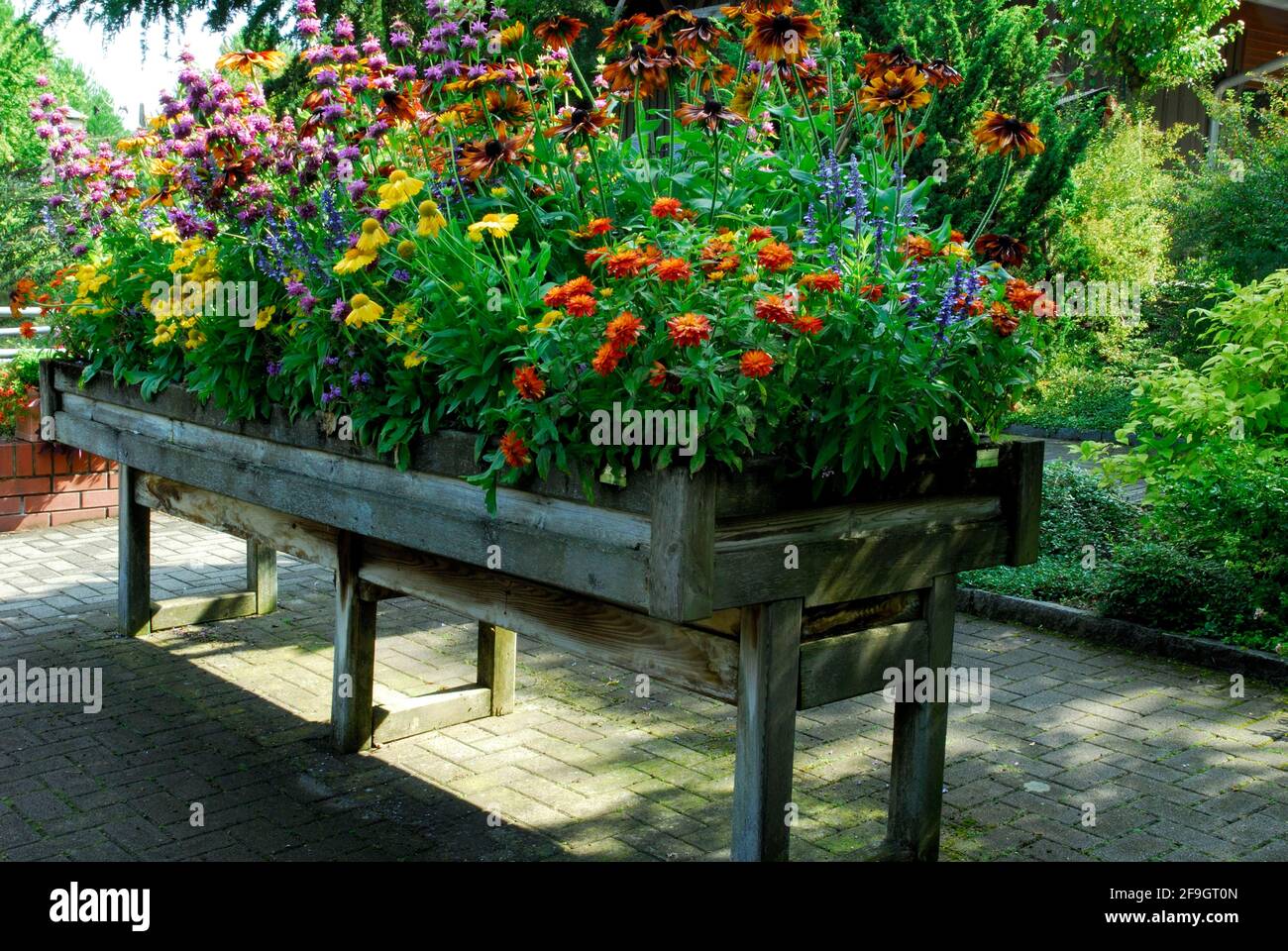 Raised inflorescence hires stock photography and images Alamy