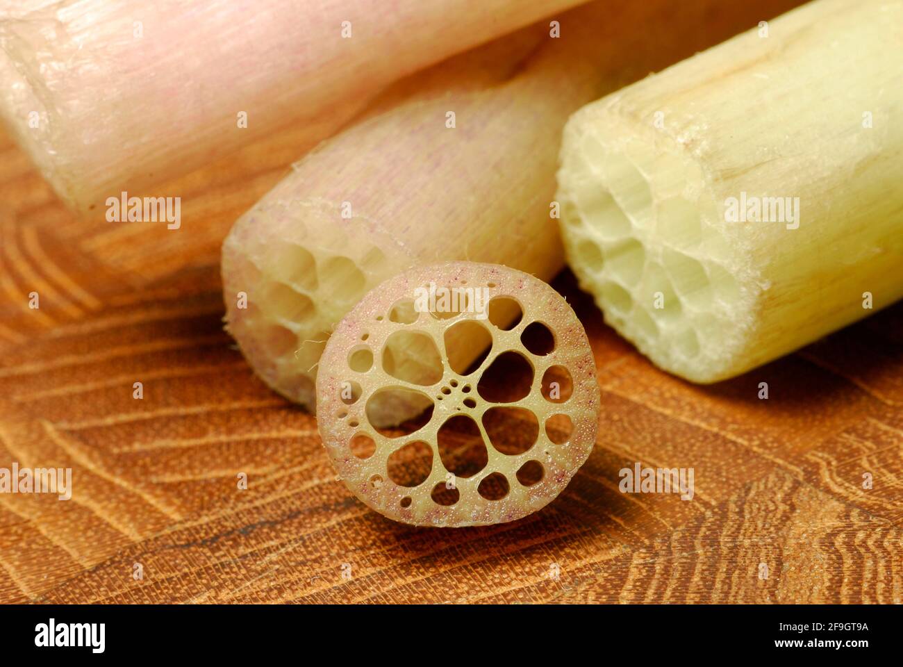 Lotus stem (Nelumbo nucifera) , lotus, lotus Stock Photo Alamy