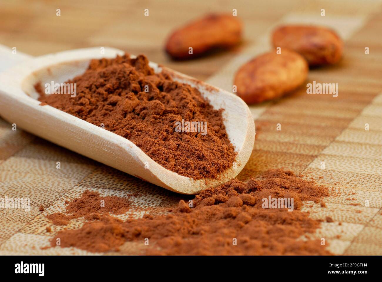Cocoa powder and cocoa beans (Theobroma cacao) , cocoa, cocoa bean Stock Photo