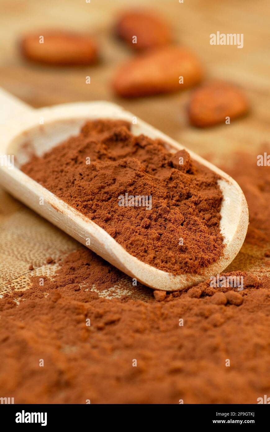 Cocoa powder and cocoa beans (Theobroma cacao) , cocoa, cocoa bean Stock Photo