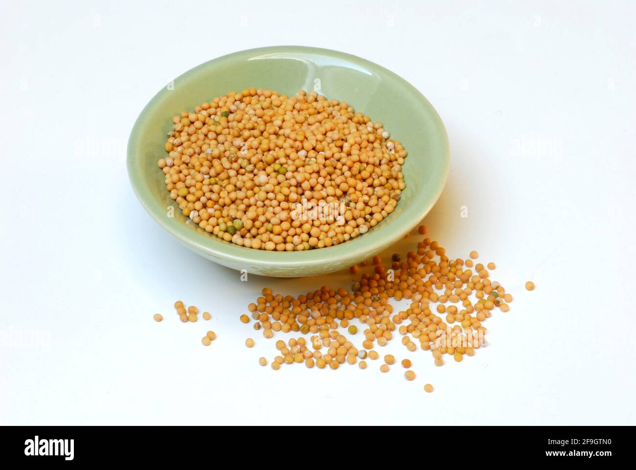 Mustard (Sinapis alba) , Mustard seeds in shell, Mustard seeds, Mustard seed Stock Photo