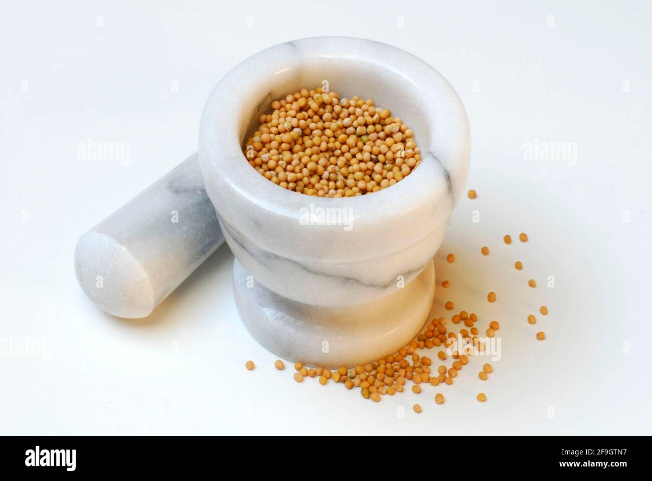 Mustard (Sinapis alba) , Mustard seeds in mortar, Mortar, Mustard seed, Mustard seed Stock Photo