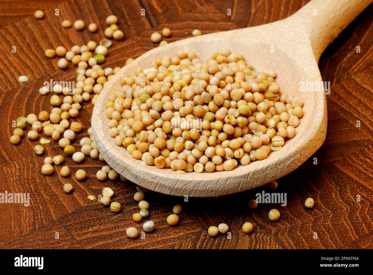 Mustard (Sinapis alba) , mustard seeds on wooden spoon, mustard seeds, mustard seed Stock Photo