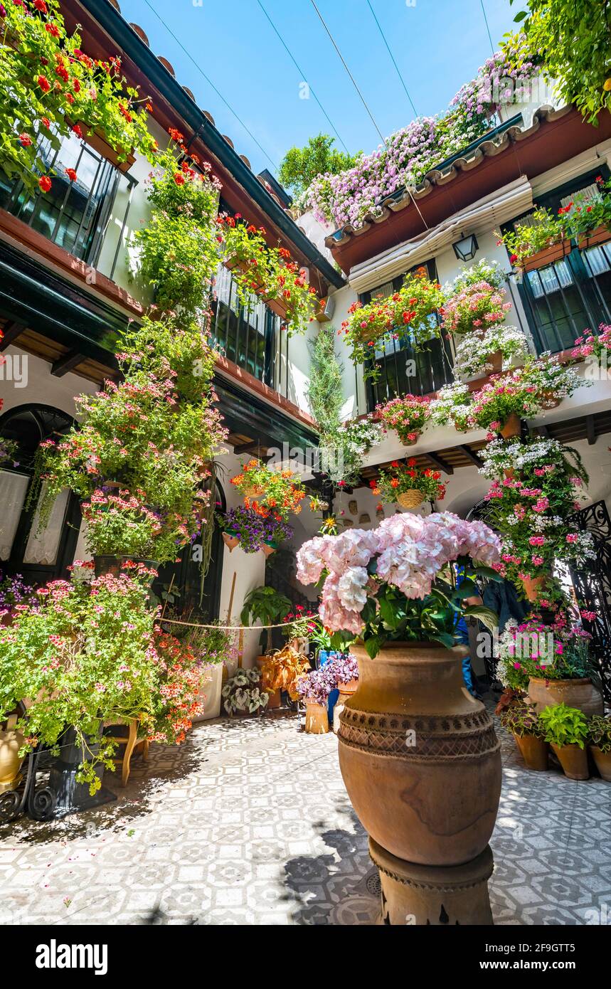 Patio decorated with flowers, Fiesta de los Patios, Cordoba, Andalusia, Spain Stock Photo