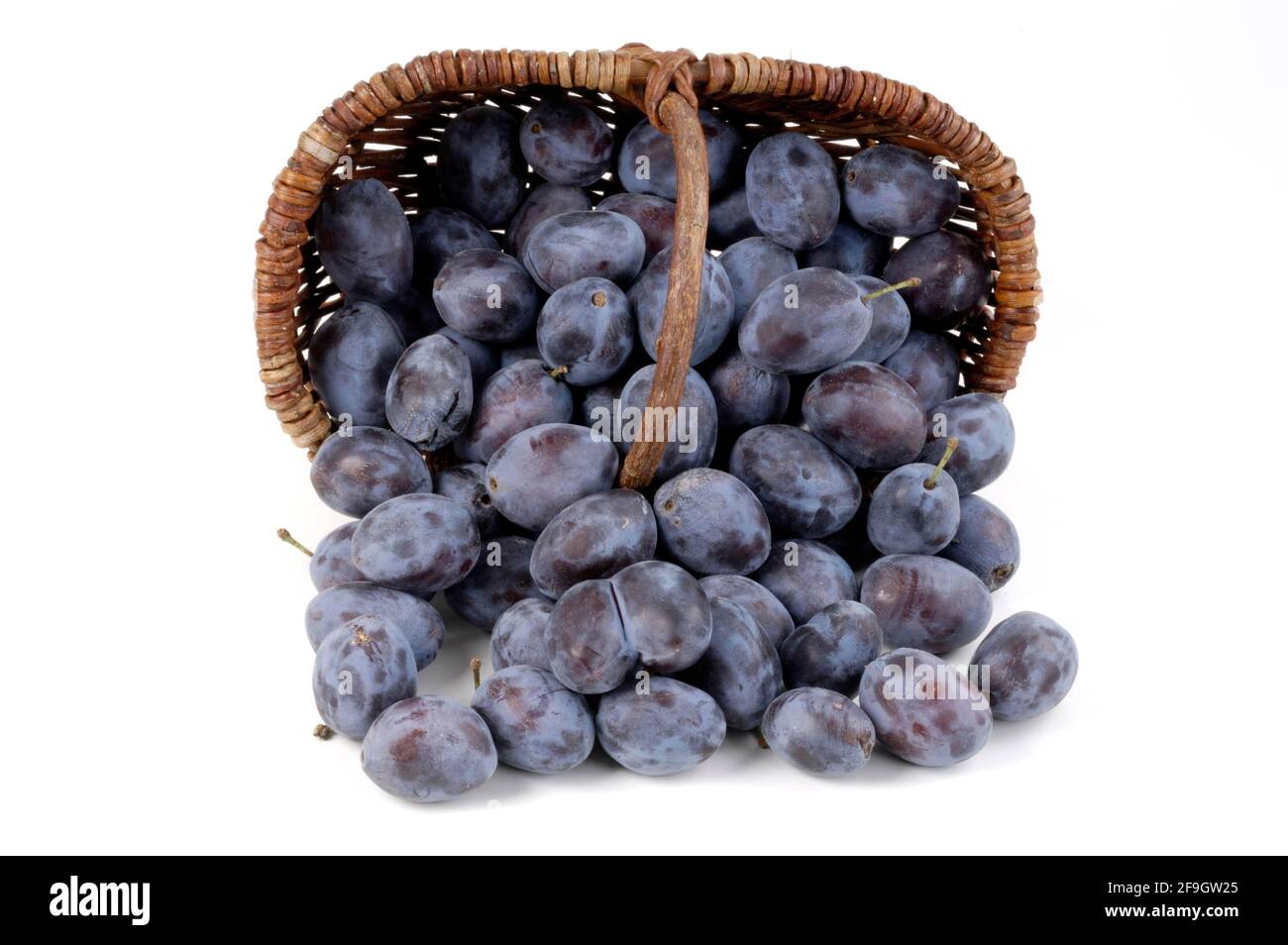 Basket with plums (Prunus domestica), house plum, inside, studio Stock Photo