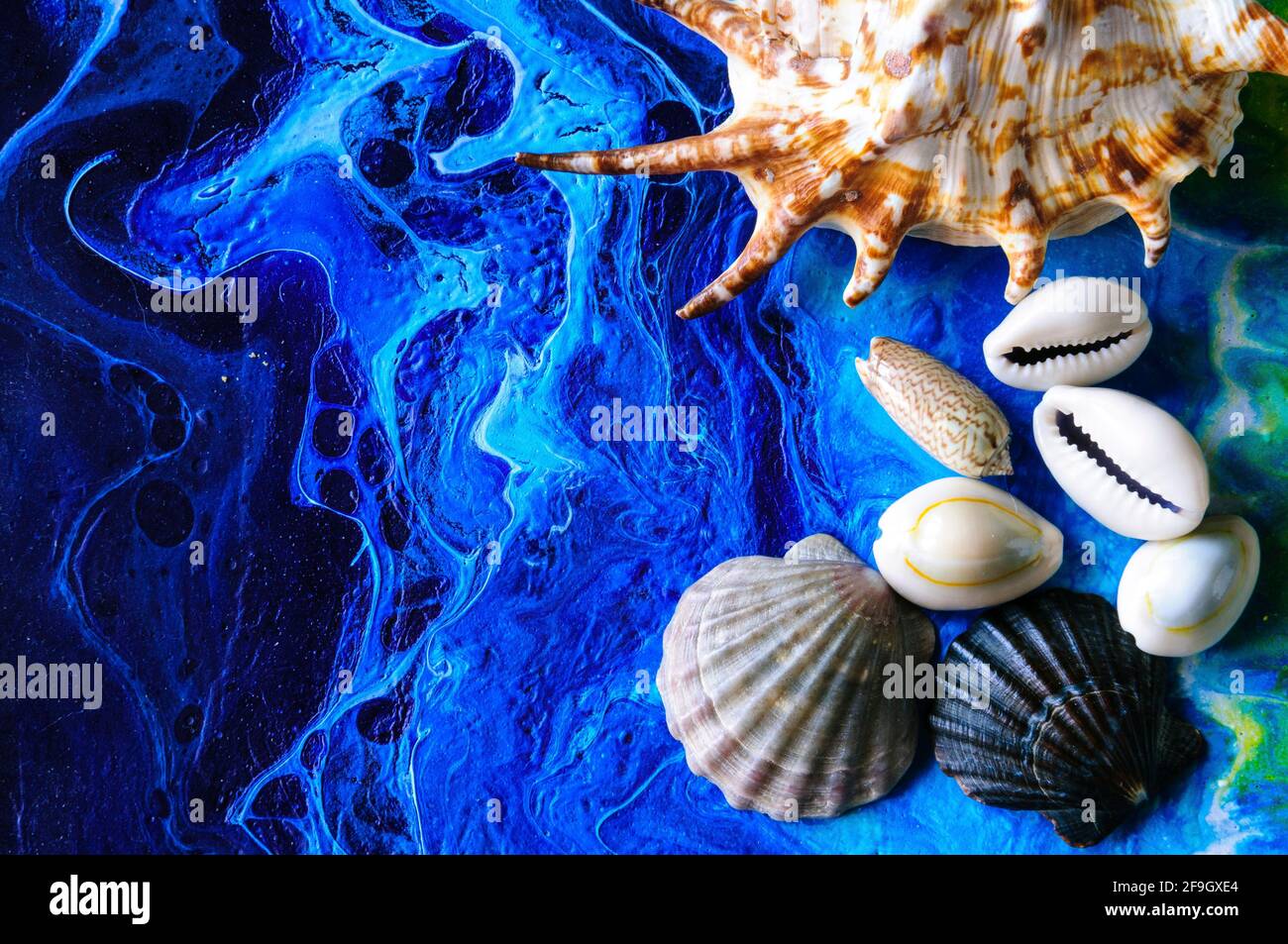 Seashells on a bright background. Acrylic Pouring Stock Photo
