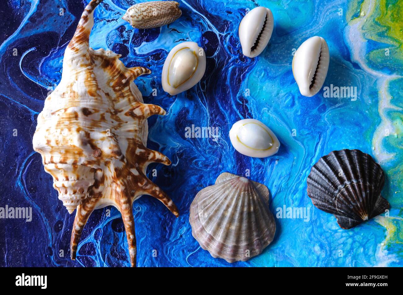 Seashells on a bright background. Acrylic Pouring Stock Photo