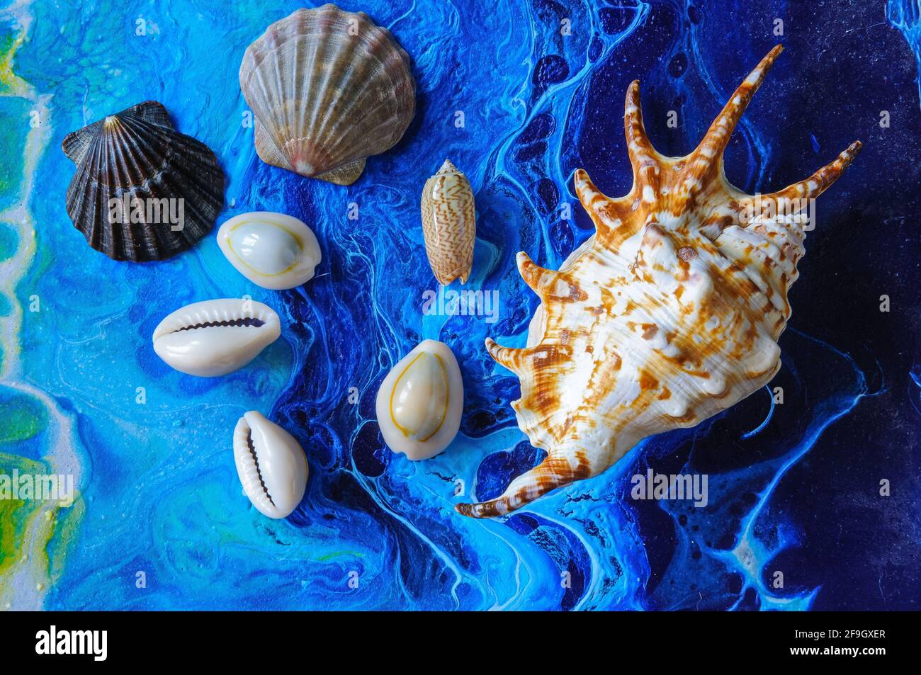 Seashells on a bright background. Acrylic Pouring Stock Photo
