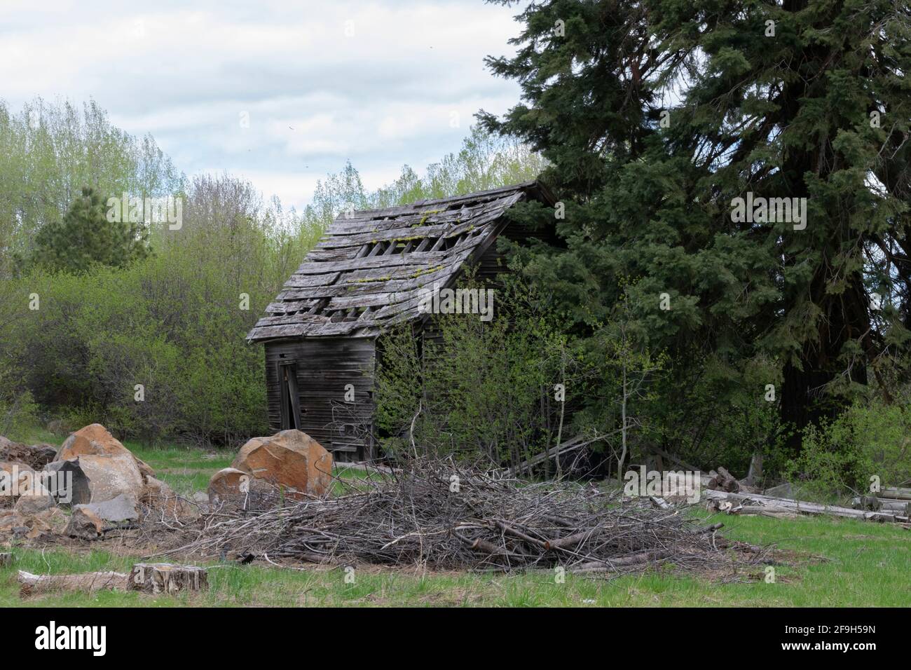 Ruins of an old cabin in rural Klamath County, Oregon. Stock Photo