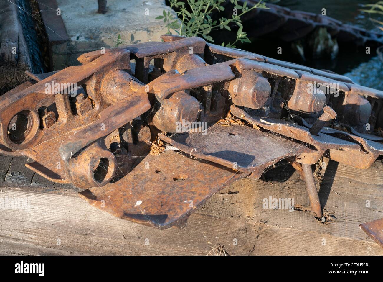 Deforestation history hires stock photography and images Alamy