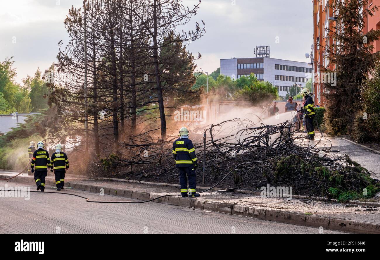 Usti nad Labem, Czech republic - 5.29.2018: firefighters eliminate the fire of bushes and trees using water from hoses Stock Photo
