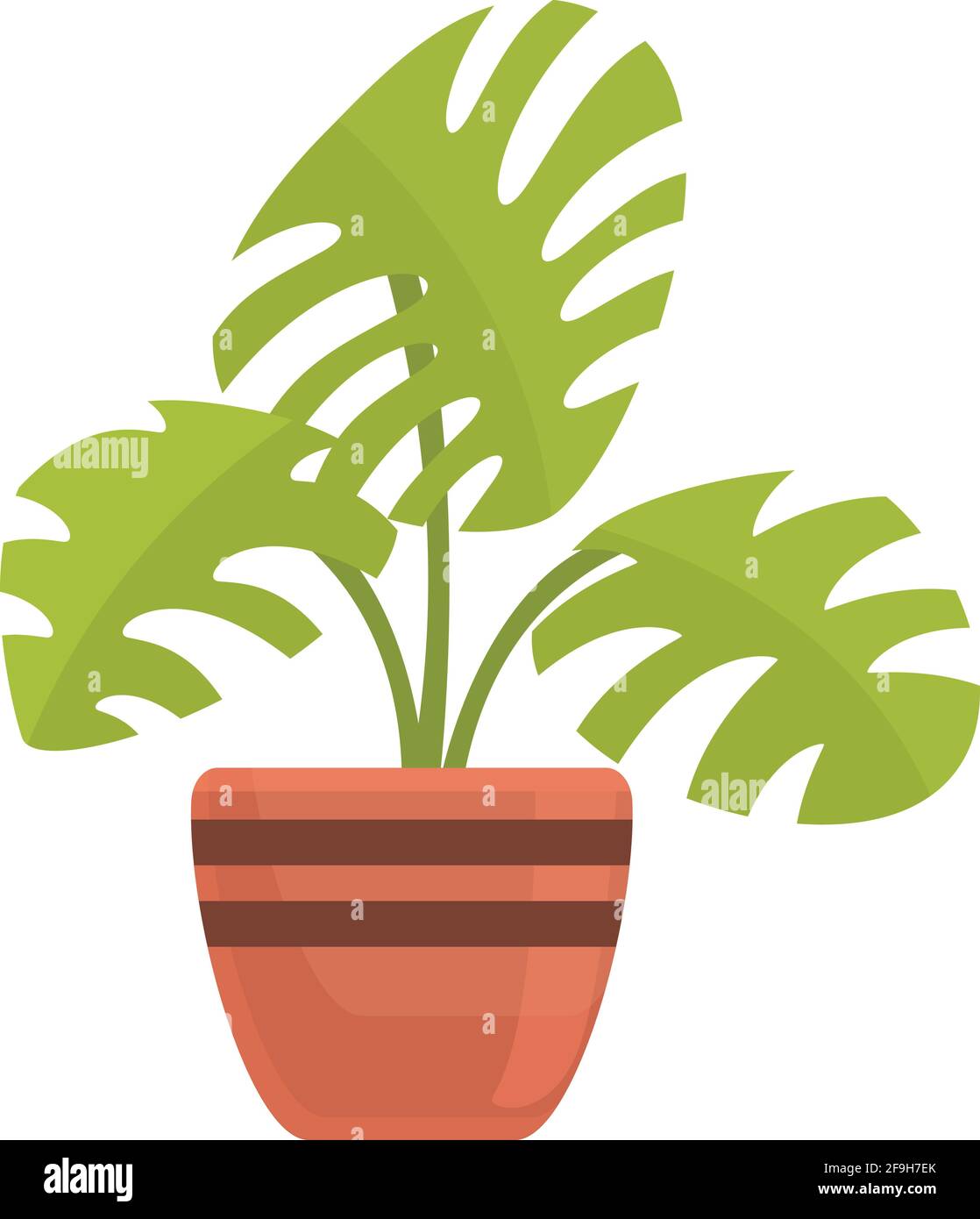 Monstera plant pot icon. Cartoon of Monstera plant pot vector icon for web  design isolated on white background Stock Vector Image & Art - Alamy