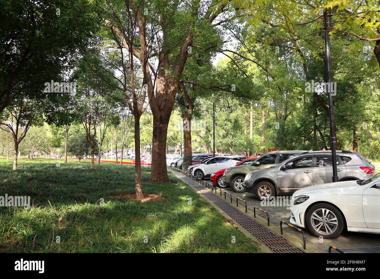 People park their cars in a roadside parking lot Stock Photo Alamy