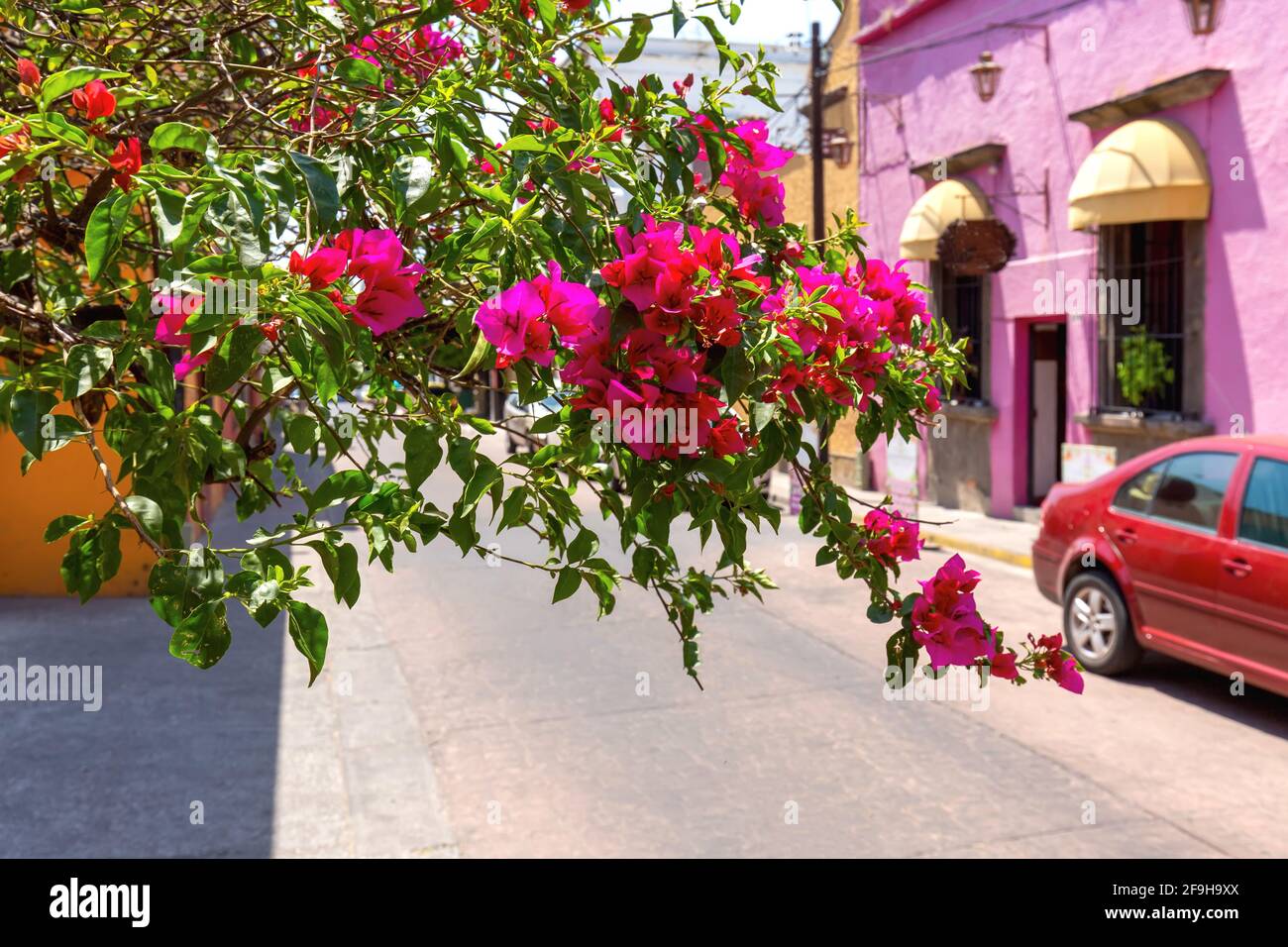 Guadalajara, Tlaquepaque scenic colorful streets during a peak tourist season. Stock Photo