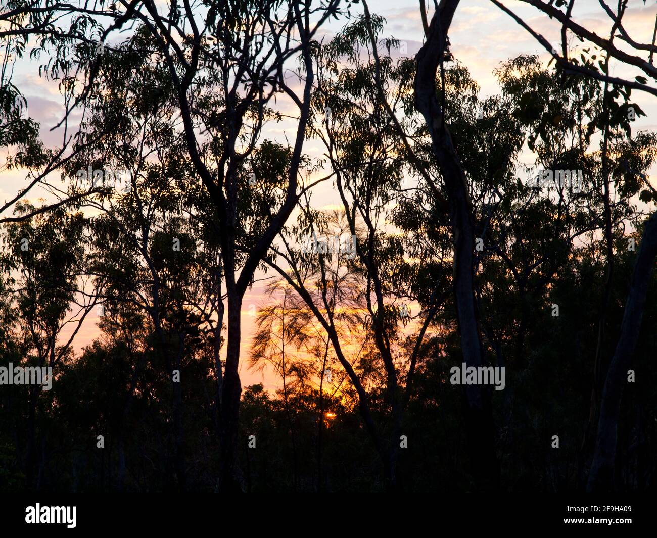 Sunset through tropical trees at Munurru Campground, King Edward River, Kimberley, Western Australia Stock Photo