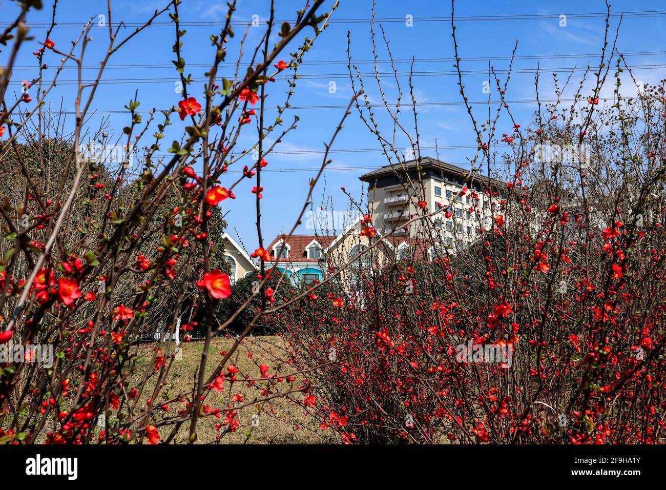These beautiful houses are the dwellings in rural China Stock Photo - Alamy