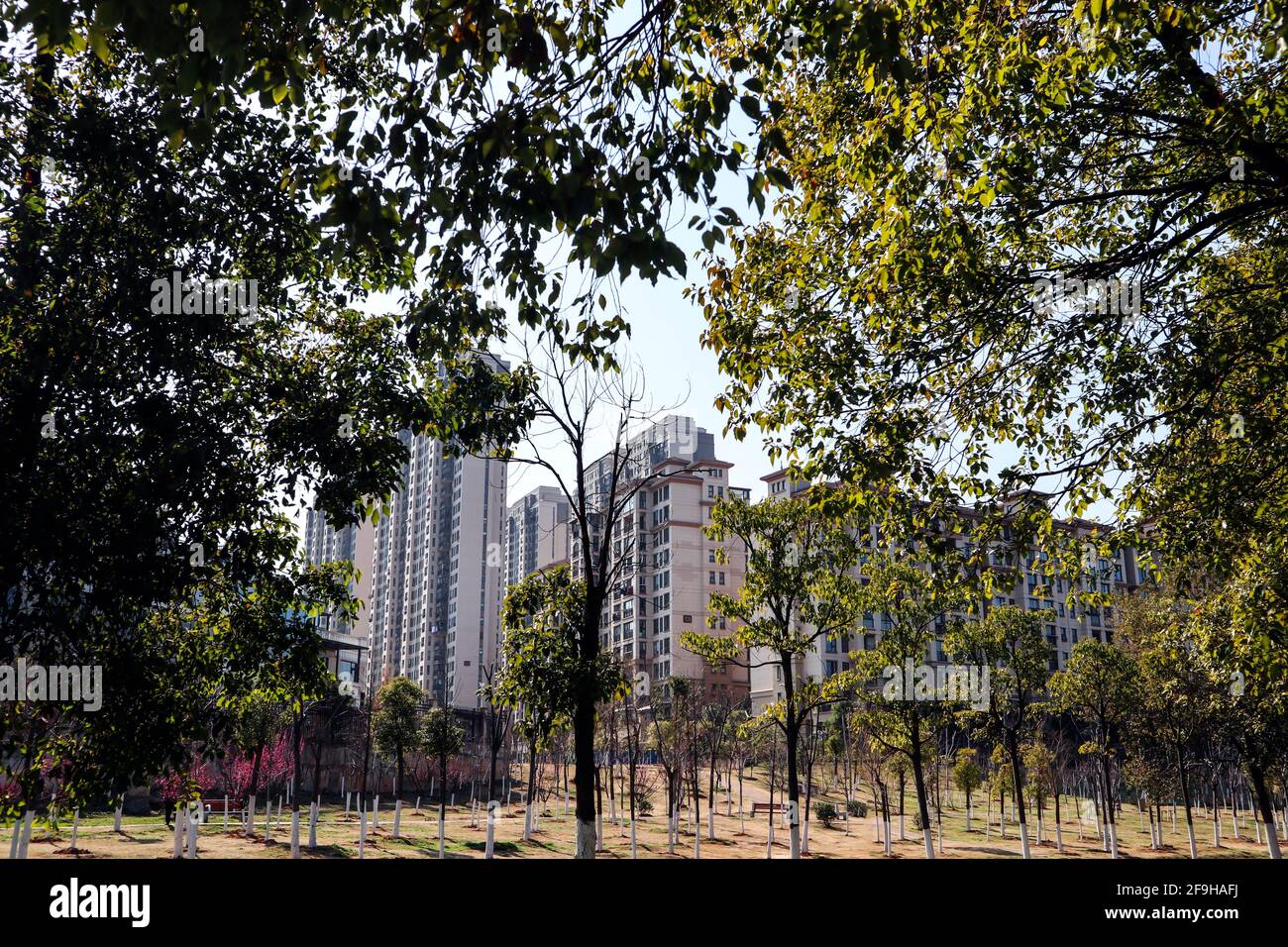 These beautiful houses are the dwellings in rural China Stock Photo - Alamy