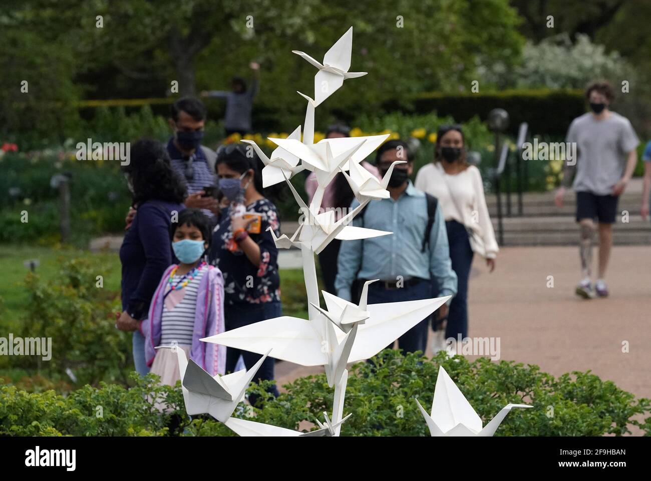 St. Louis, United States. 18th Apr, 2021. Visitors walk past the Rising Cranes sculpture at the Missouri Botanical Gardens, in St. Louis on Sunday, April 18, 2021. The sculpture is one of 18 created by artist Kevin Box of Santa Fe and his Origami In The Garden features large scale installations depicting birds, ponies, boats, cranes and butterflies on display until October. Photo by Bill Greenblatt/UPI Credit: UPI/Alamy Live News Stock Photo