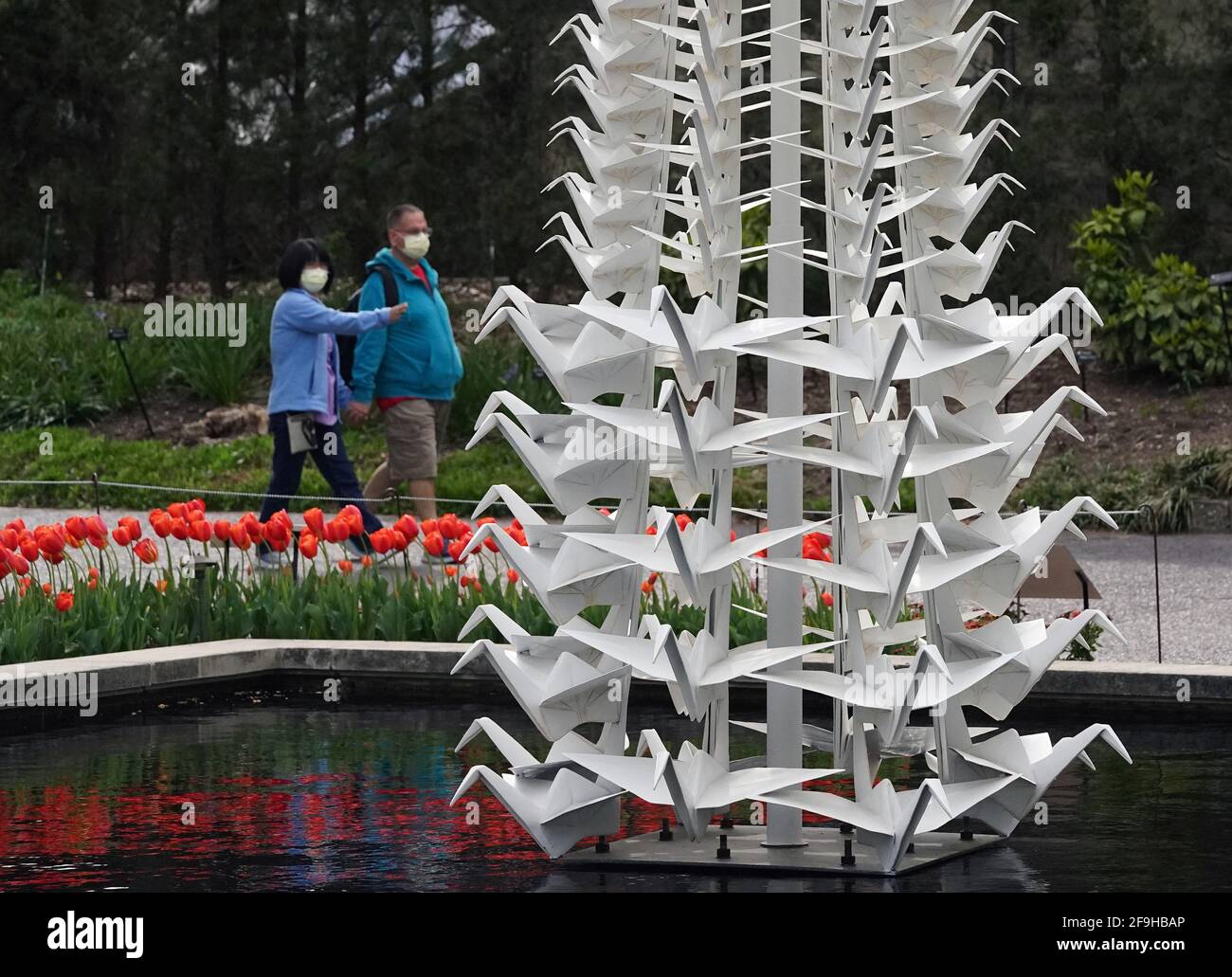 St. Louis, United States. 18th Apr, 2021. Visitors stop to look at the Master Peace Sculpture near the Climatron at the Missouri Botanical Gardens, in St. Louis on Sunday, April 18, 2021. The sculpture is one of 18 created by artist Kevin Box of Santa Fe and his Origami In The Garden features large scale installations depicting birds, ponies, boats, cranes and butterflies on display until October. Photo by Bill Greenblatt/UPI Credit: UPI/Alamy Live News Stock Photo