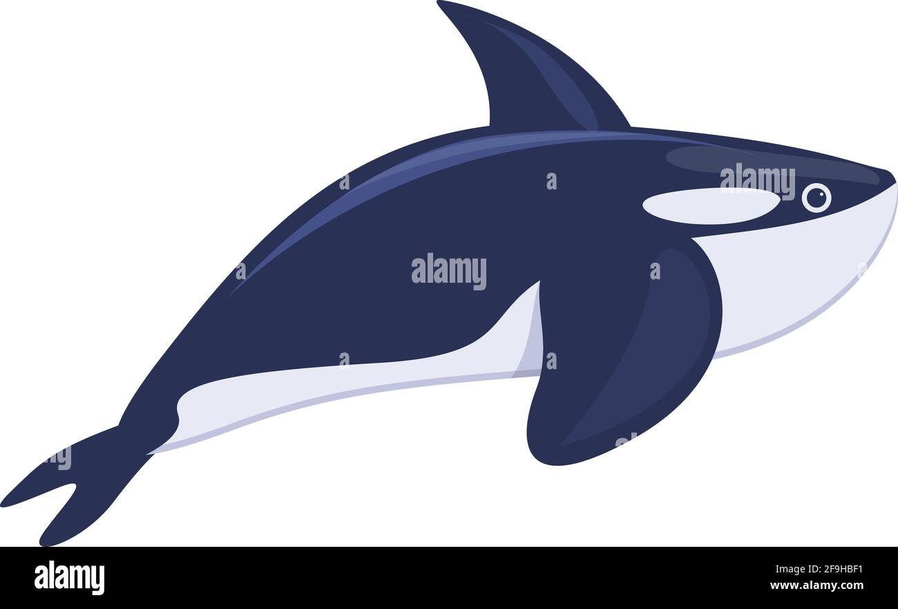 Killer whale icon. Cartoon of Killer whale vector icon for web design isolated on white background Stock Vector