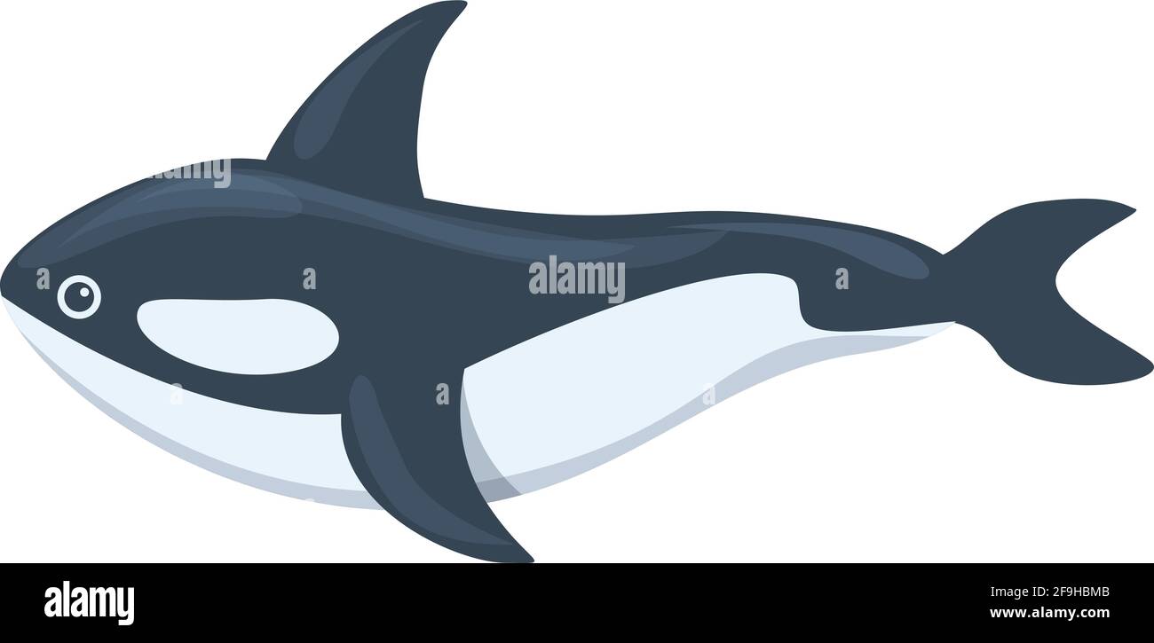Killer whale arctic icon. Cartoon of Killer whale arctic vector icon for web design isolated on white background Stock Vector