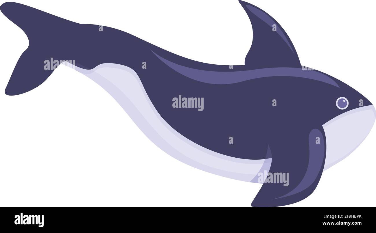 Killer whale aqua icon. Cartoon of Killer whale aqua vector icon for web design isolated on white background Stock Vector