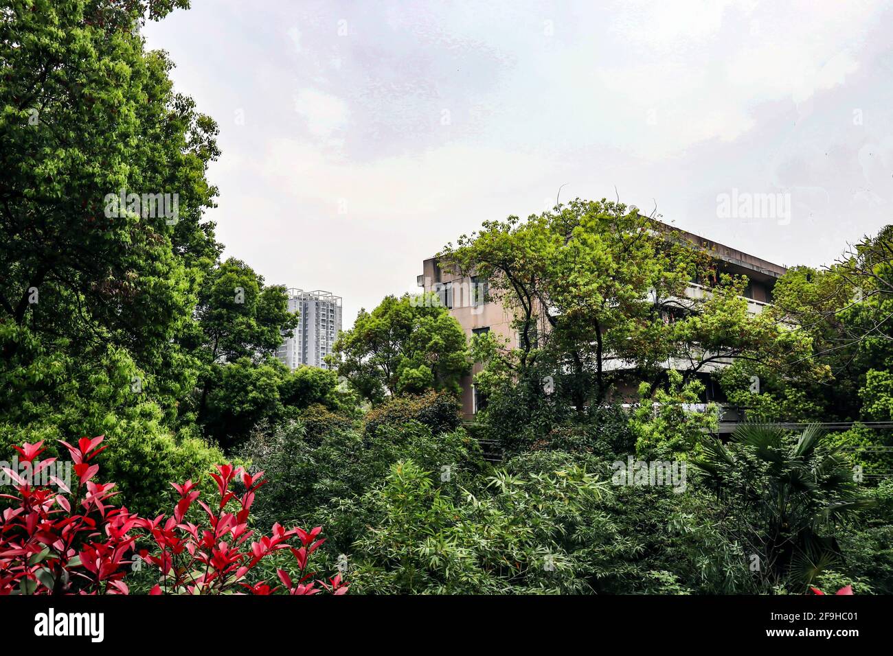 These beautiful houses are the dwellings in rural China Stock Photo - Alamy