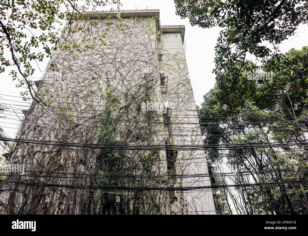 These beautiful houses are the dwellings in rural China Stock Photo - Alamy