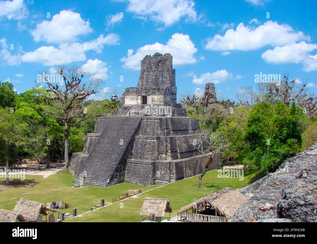 Ancient Tikal Pyramids in Guatemala. Stock Photo