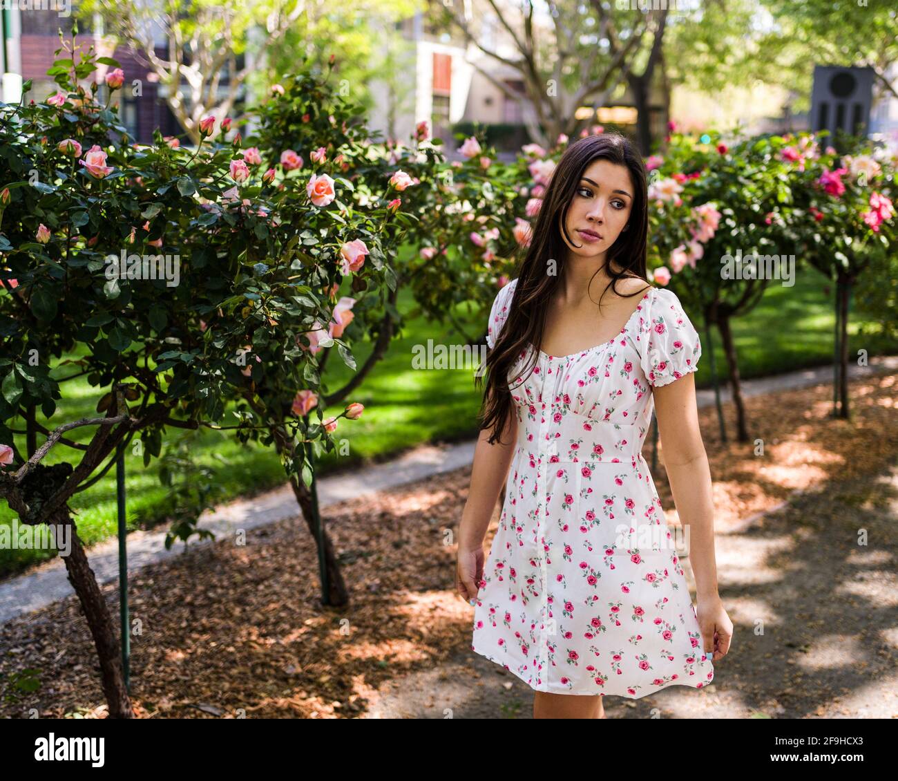Latina mexican hi-res stock photography and images - Alamy